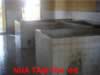 RNHA TAM TD4-6_s.jpg (24kb)